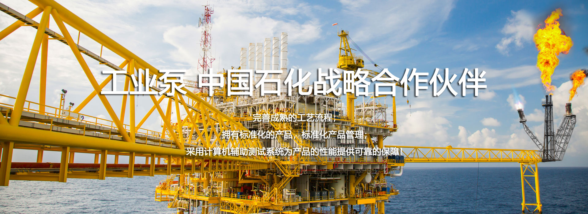 工业泵 中国石化战略合作伙伴